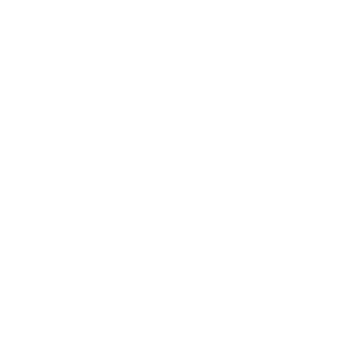 Our Vision Our Vision